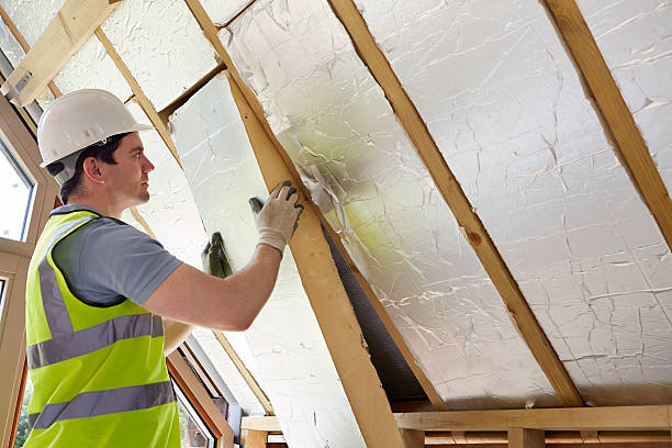 Best Specialized Insulation Services in Hot Springs, SD